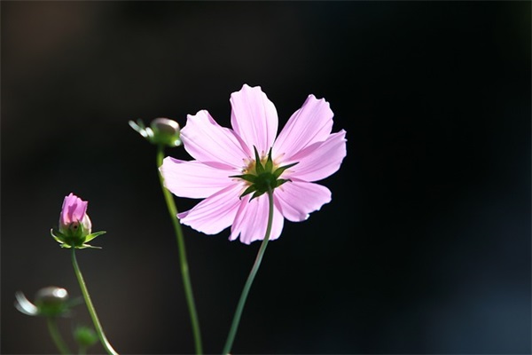 让老婆心碎的句子 让人心碎的句子