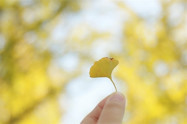 形容心情好的句子