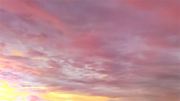 感恩老婆母亲节的句子