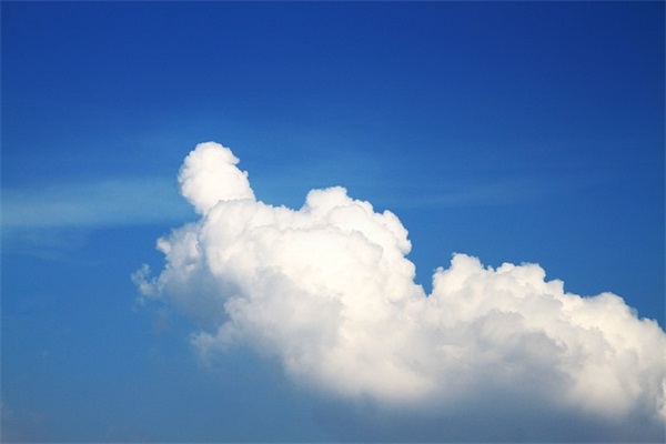 网易云热评句子简短关于人生