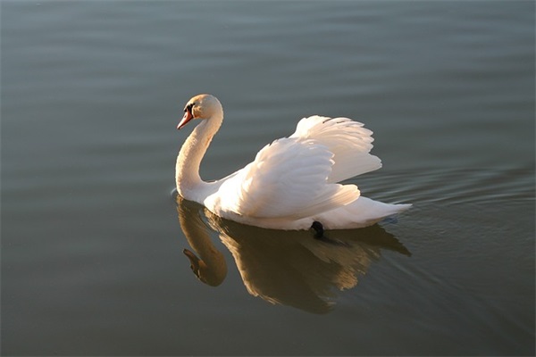 一个人呆着无聊的心情句子