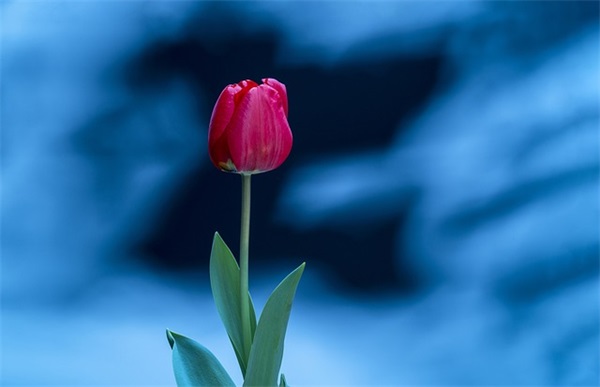 值得深思的关于异地恋优美句子