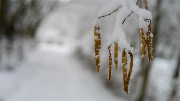 气质女人的句子一句话(赞美优雅气质女人的句子)