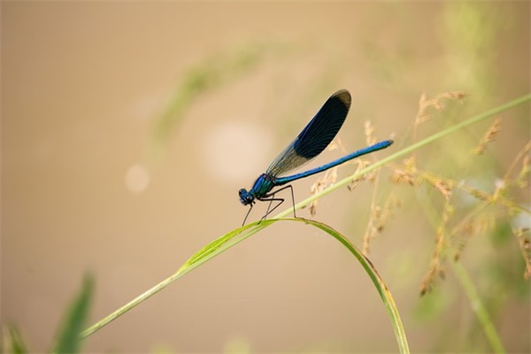 坚持和希望的励志句子