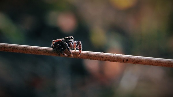 表达心情烦躁的句子 表达自己心情烦躁的句子