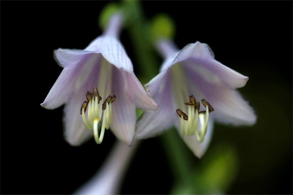 高情商的伤感句子 高情商的暖心句子