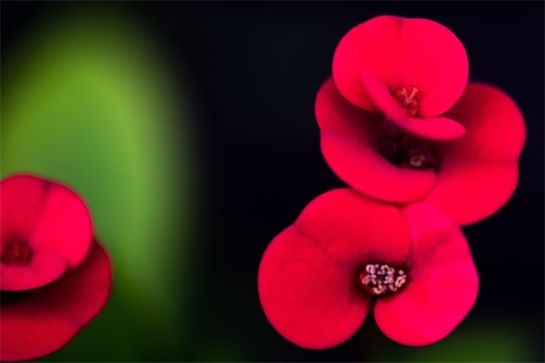 给团队打气激励的句子(团队激励上进正能量句子)