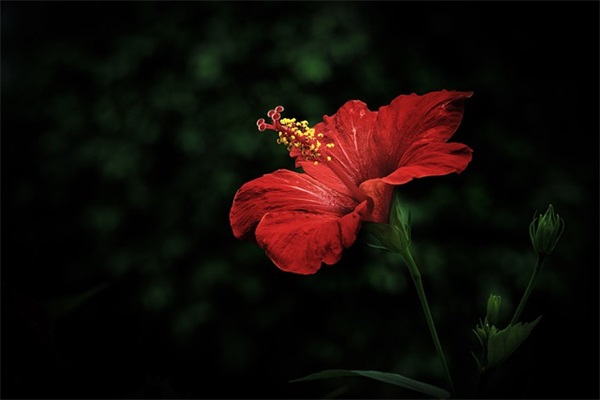 痛苦到心碎的句子 那些痛到心碎的句子