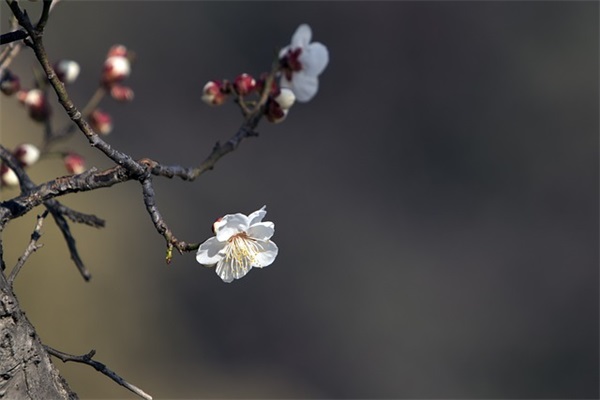 祝大家今天开心的句子、美好祝愿