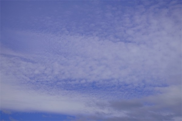 伤心伤感的句子 爱情伤感句子短句