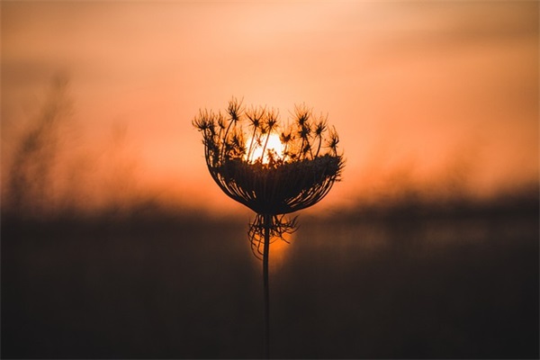 点赞最高的正能量短句 精辟句子万人点赞句子