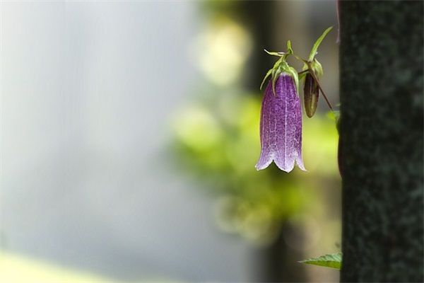 好人有好报的简短句子 好人有好报的句子