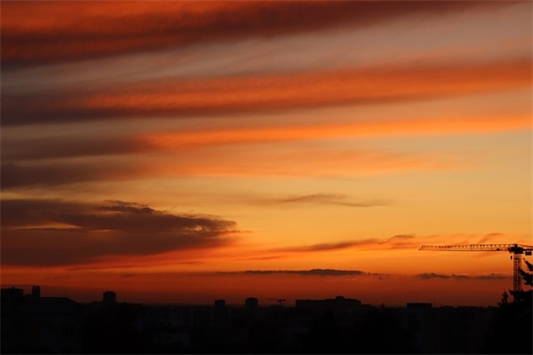 新年兄弟祝福语81句