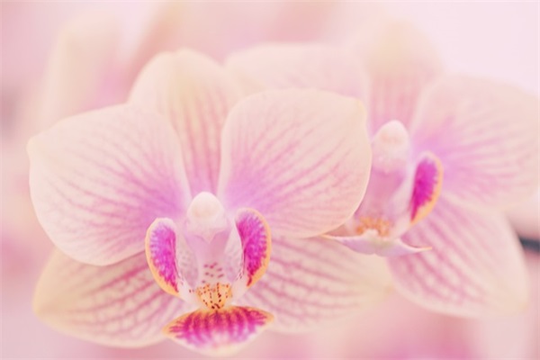 元旦新年祝福语82句