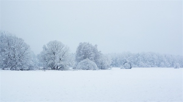 2026腊八节温馨祝福语 端午节温馨祝福语