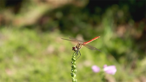 祝长辈新年祝福语大全 【祝长辈的新年祝福语大全】