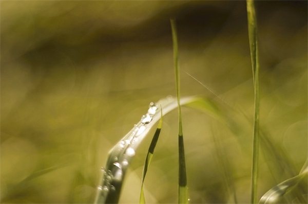 带一的祝福语四字 【含有一的祝福成语】