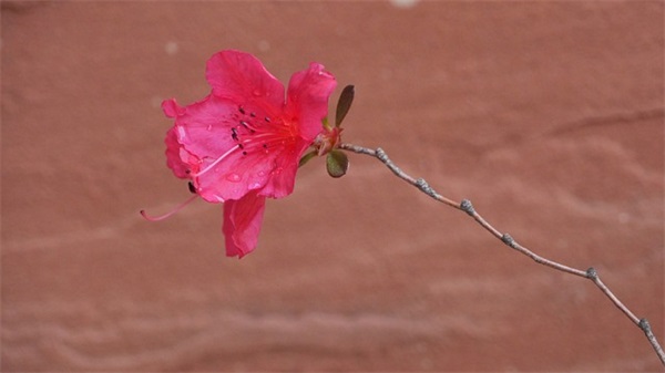 女儿结婚父母的祝福语 【女儿结婚对父母的祝福语】