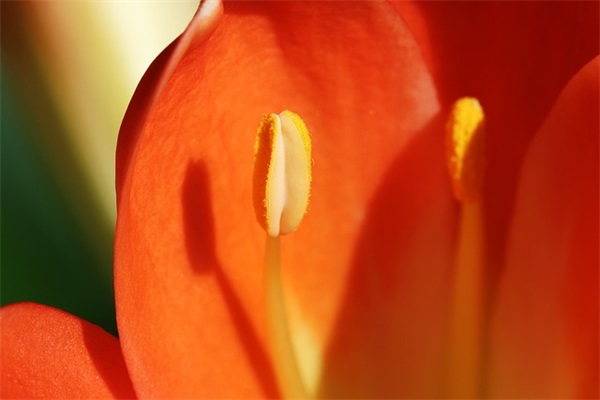 祝人发财的祝福语 祝福生意人发财的祝福语