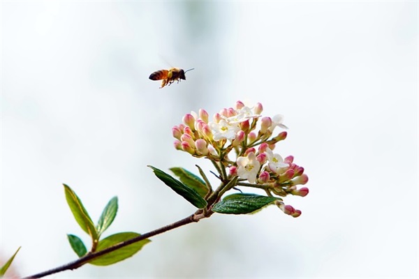 对买新车人的祝福语 恭喜朋友买新车的祝福语