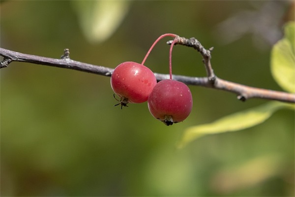 祝老爸生日经典短句 女儿祝福老爸生日短句四字