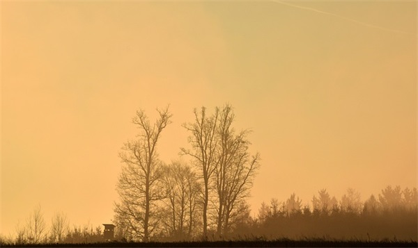 八个字生日祝福语 生日祝福语简短精辟(精选86句)