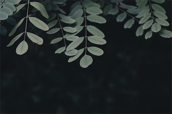 求个好听的lol网名