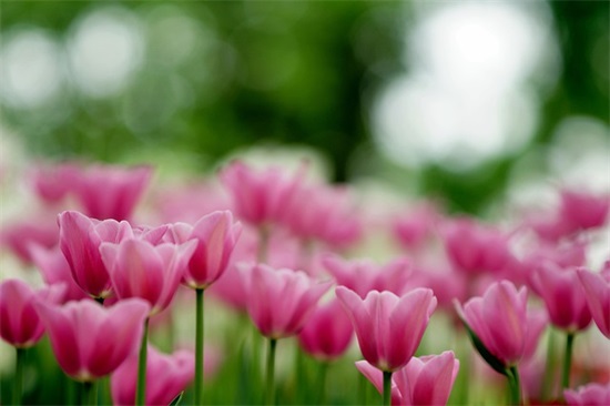 中秋节性短信100句