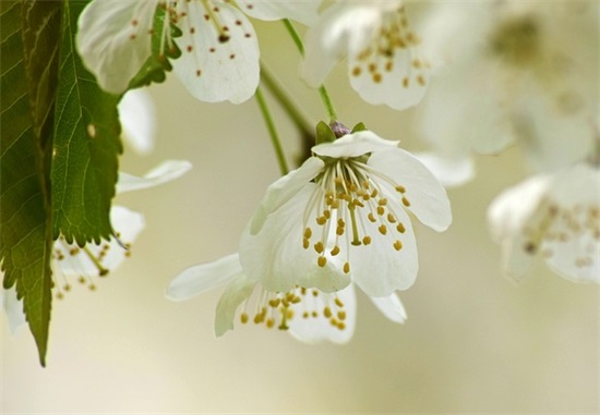 劳动节后短信92句