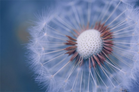 2025五四青年节青春寄语 五四青年节励志寄语